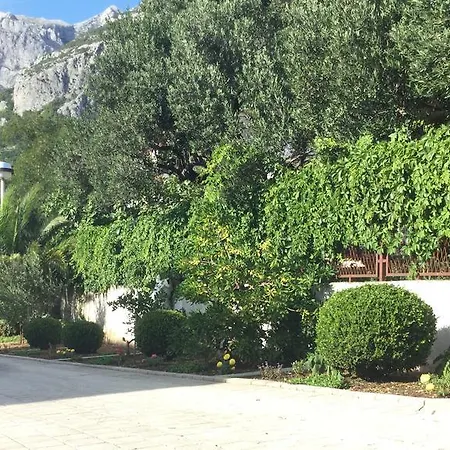Barabica Makarska